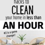 quick cleaning tips