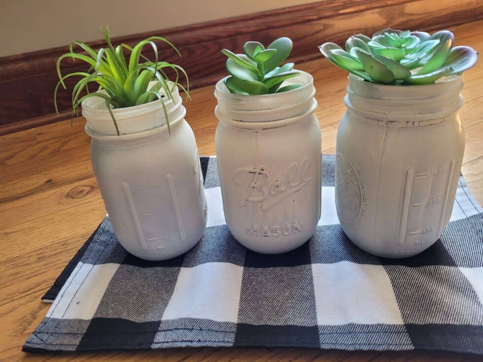 Dollar Tree DIY Mason Jar Succulent Planters Budgeting Couple