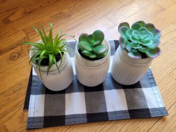 diy mason jar succulent