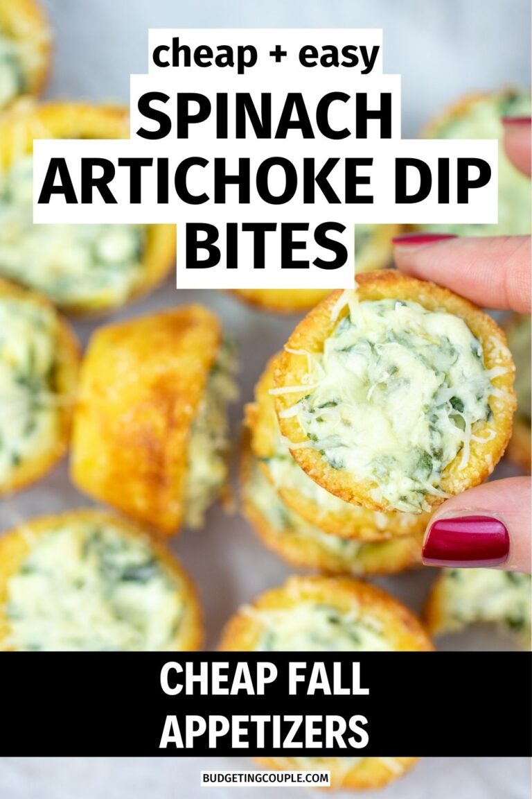 20 Cheap Fall Appetizers - Budgeting Couple
