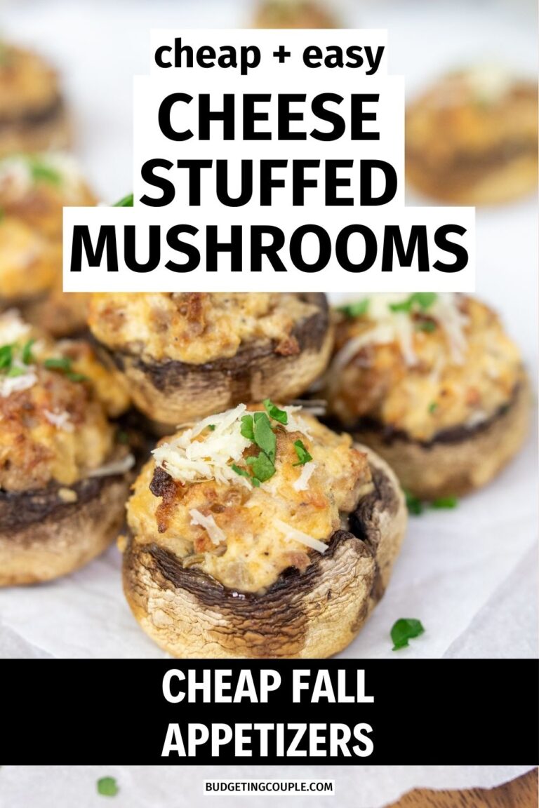 20 Cheap Fall Appetizers - Budgeting Couple