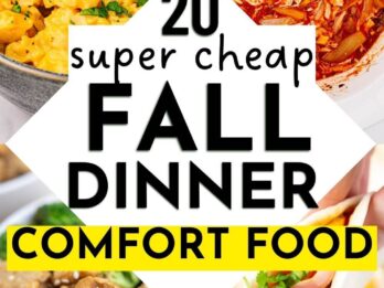 Comfort Foods for When You’re Sick (Healthy Fall Meals on a Budget)