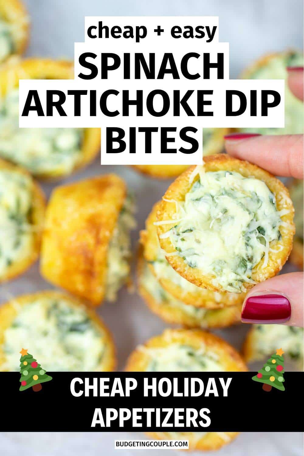 20 Cheap Holiday Appetizers - Budgeting Couple