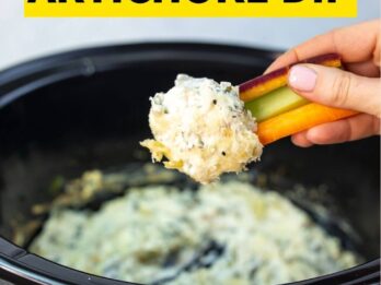 Cheap Summer Appetizers and Dips: picnic potluck ideas kids small bites food ideas cheap meals budget